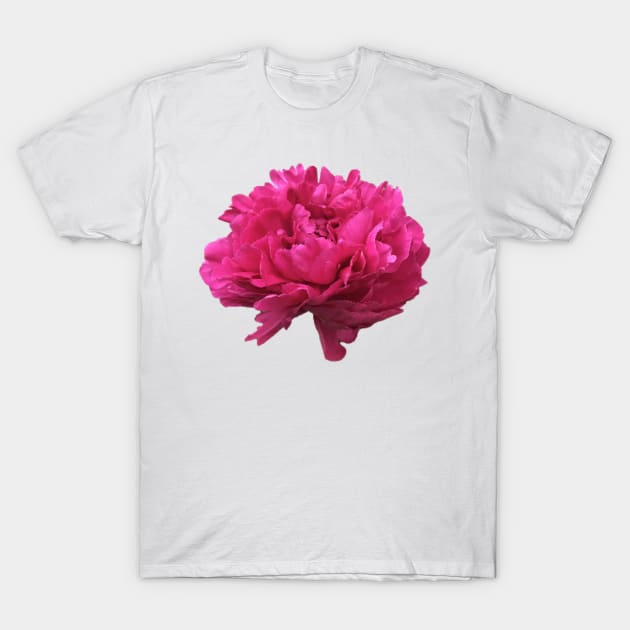 Hot Pink Peony in Full Bloom T-Shirt by InalterataArt